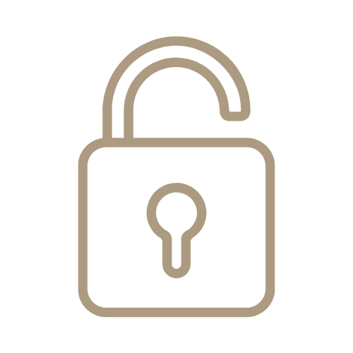 Paddle lock open icon - The Jet Agent